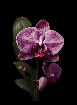 orchidee van Laelaty Mubarokah