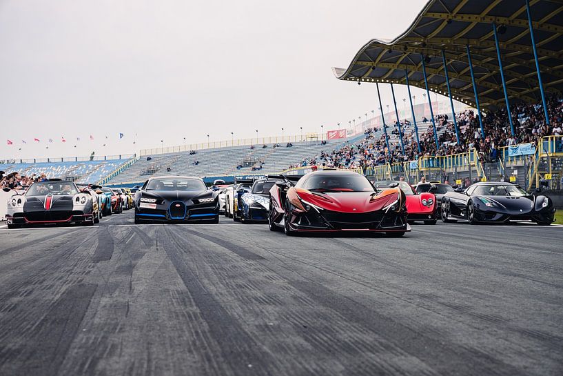 Peppy starting line-up by Jelle de Graaff