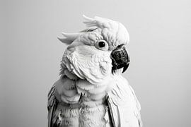 Kakadu von Poster Art Shop