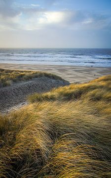 Strand en duin, zee en wind, golven langs de kust!