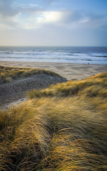 Beach and dunes, sea and wind, waves along the coast! by Dirk van Egmond