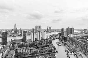 De Leuvehaven in Rotterdam