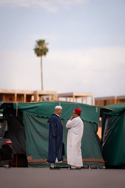 Palm tree and consultation on Djemaa el Fna, Marrakecg by Teun Janssen