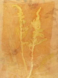 Ecoprint of double cattail by Liesbeth Bulk