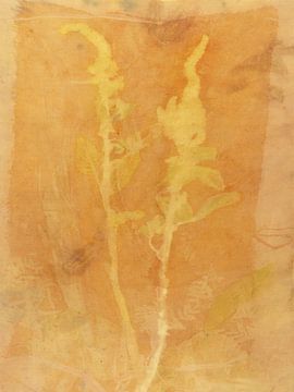 Ecoprint van dubbele kattenstaart van Liesbeth Bulk