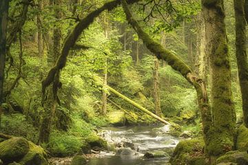 Le paradis des fées sur Ellen Borggreve