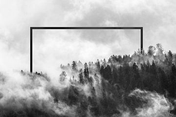 Wald mit Nebel am Morgen van Felix Brönnimann