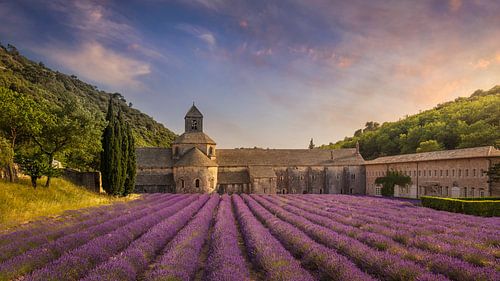 De abdij van Senanque en de rijen lavendel in bloei, panoramisch uitzicht