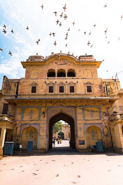 Doorgang naar de stad in Jaipur India met overvliegende duiven. van Niels Rurenga