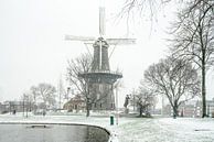 Leiden in the snow/ mill De Valk by Dirk van Egmond thumbnail