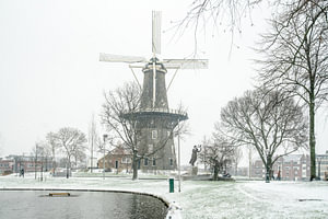 Leiden im Schnee/ Mühle De Valk