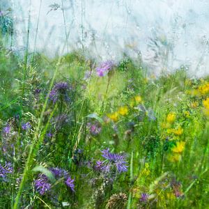 Wilde Blumen