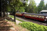 Brockenbahn sur le chemin vers le sommet du Brocken