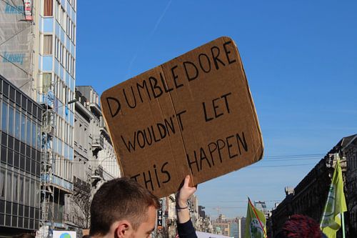 Dumbledore Wouldn't Let This Happen