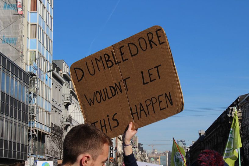 Dumbledore Wouldn't Let This Happen van Mattijs Deprez