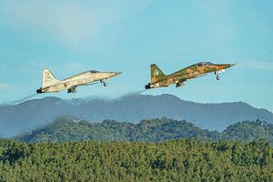 Taiwanesische Northrop F-5F und F-5E Tiger II.