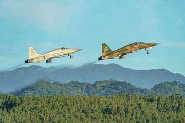 Taiwanese Northrop F-5F and F-5E Tiger II. by Jaap van den Berg