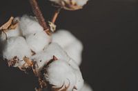 Coton chaud - boules de coton