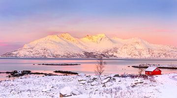Norwegische Winterlandschaft von Adelheid Smitt