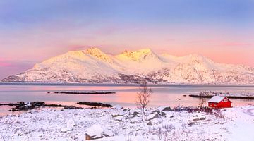 Norwegian winter landscape by Adelheid Smitt