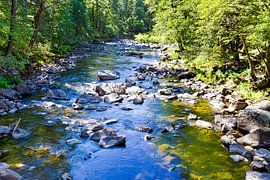 Merced River, Yosemite-Nationalpark von Melanie Viola