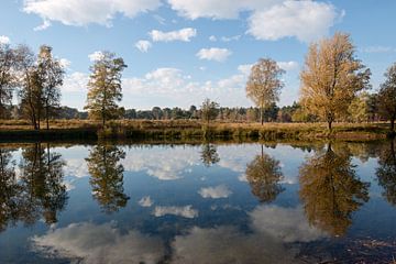 uitzicht op een meer in boswachterij Dorst met stapelwolken en reflectie