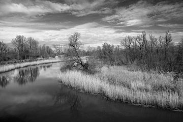 Rust en Reflectie in De Biesbosch van Jan Jongejan