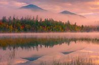 Autumn at Connery Pond in Adirondack's State Park by Henk Meijer Photography thumbnail