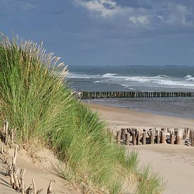 Panorama de la côte zélandaise sur Zeeland op Foto