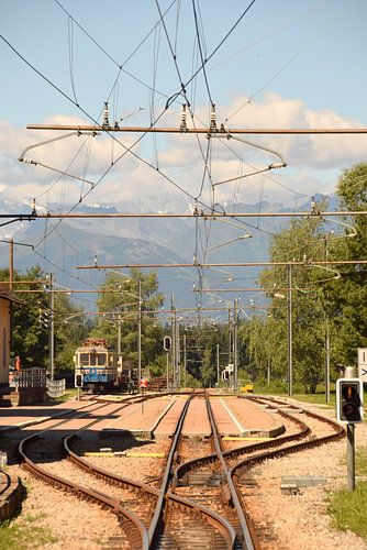 Alpentrein door de Italiaanse en Zwitserse bergen