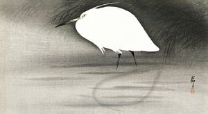 Aigrette, Ohara Koson