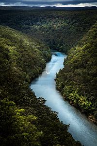 Tropischer Fluss
