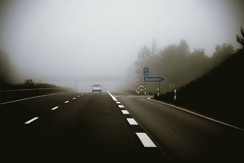 Winding Road in Foggy Forest