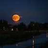 Deer moon over polder by Sharmaine Doesberg-Pex