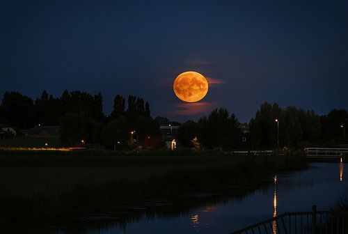 Deer moon over polder