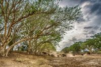 Dry river crossing