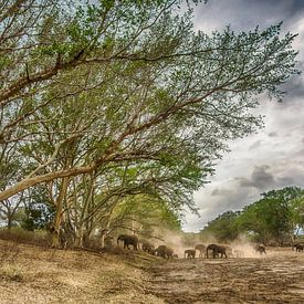 Dry river crossing by Jack Soffers