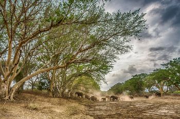 Trockene Flussüberquerung