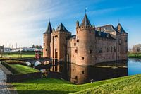 Het Muiderslot in het ochtendlicht