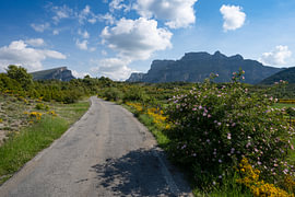 The road to the Añisclo Gorge by Peter Bartelings