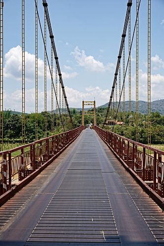 Vietnamese hangbrug in weelderige natuurlijke omgeving