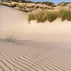 Serene ochtend in de duinen van Westenschouwen van Claire van Dun