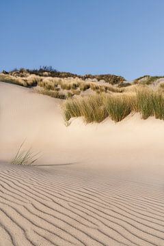 Serene ochtend in de duinen van Westenschouwen van Claire van Dun