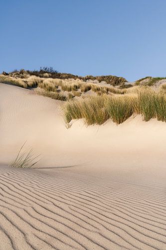 Serene ochtend in de duinen van Westenschouwen van Claire van Dun