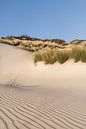 Serene morning in the dunes of Westenschouwen by Claire van Dun thumbnail