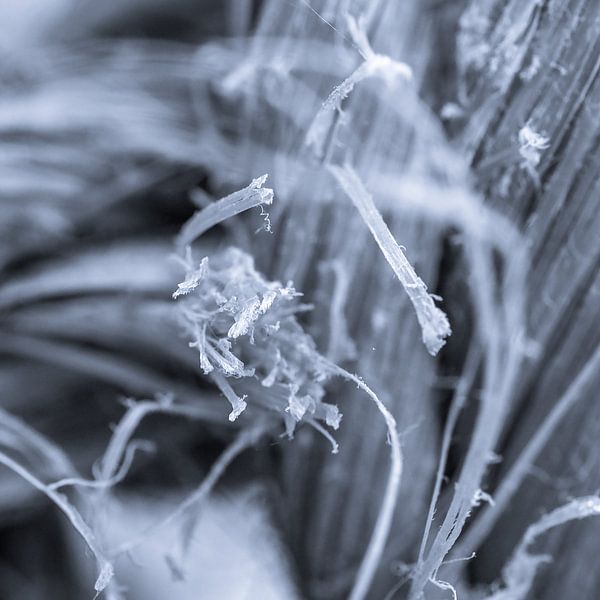 Loose ends van Anja van Rijen