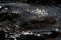 Funkeln im Wasser