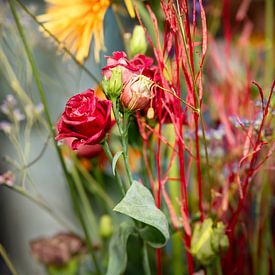 Flower splendor by Lindsey Post
