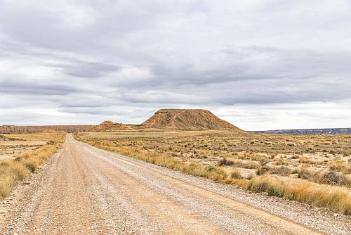 Semi-woestijn in Noord-Spanje van Simone Diederich