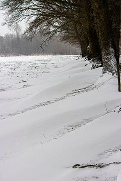 sneeuw duinen van ton vogels